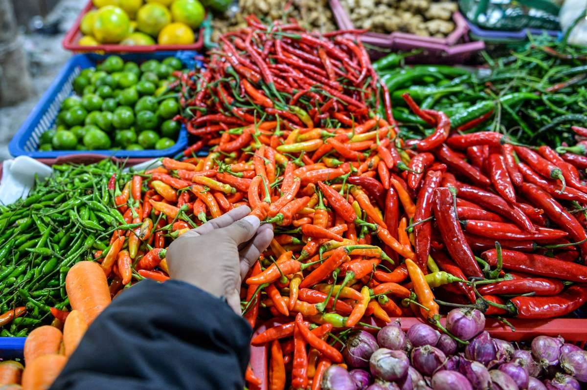 Kekeringan Membuat Harga Cabai Semakin Pedas