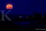 Fenomena Strawberry Supermoon Dapat Disaksikan di Indonesia, Kapan Waktu Munculnya?