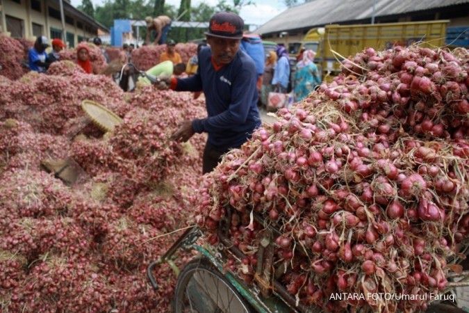 Indonesia mulai swasembada bawang merah
