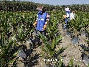 PTPN III akan remajakan lahan sawit