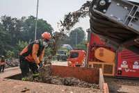Pendaftaran Terakhir! DLH DKI Buka 264 Lowongan Kerja Upah Rp 174.748 per Hari