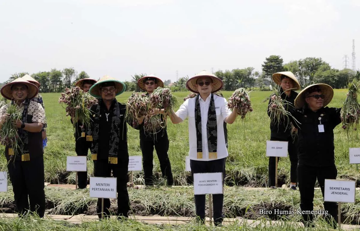 Jelang Ramadan & Lebaran, Pemerintah Jaga Ketersediaan Bapok di Tengah Masyarakat