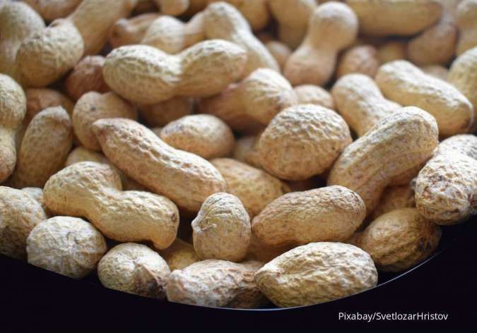 Benarkah Kacang Tanah Menyebabkan Asam Urat? Ini Penjelasan Medisnya