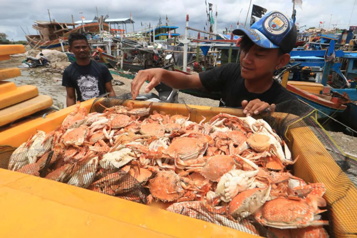 Ditjen Pengelolaan Ruang Laut targetkan PNBP 2022 capai Rp 50 miliar