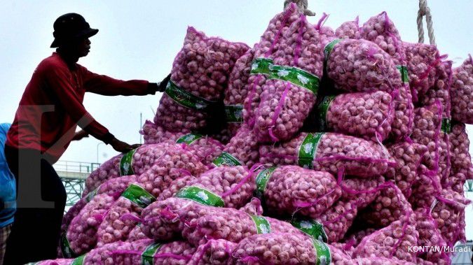 135.000 ton bawang putih akan membanjiri pasar