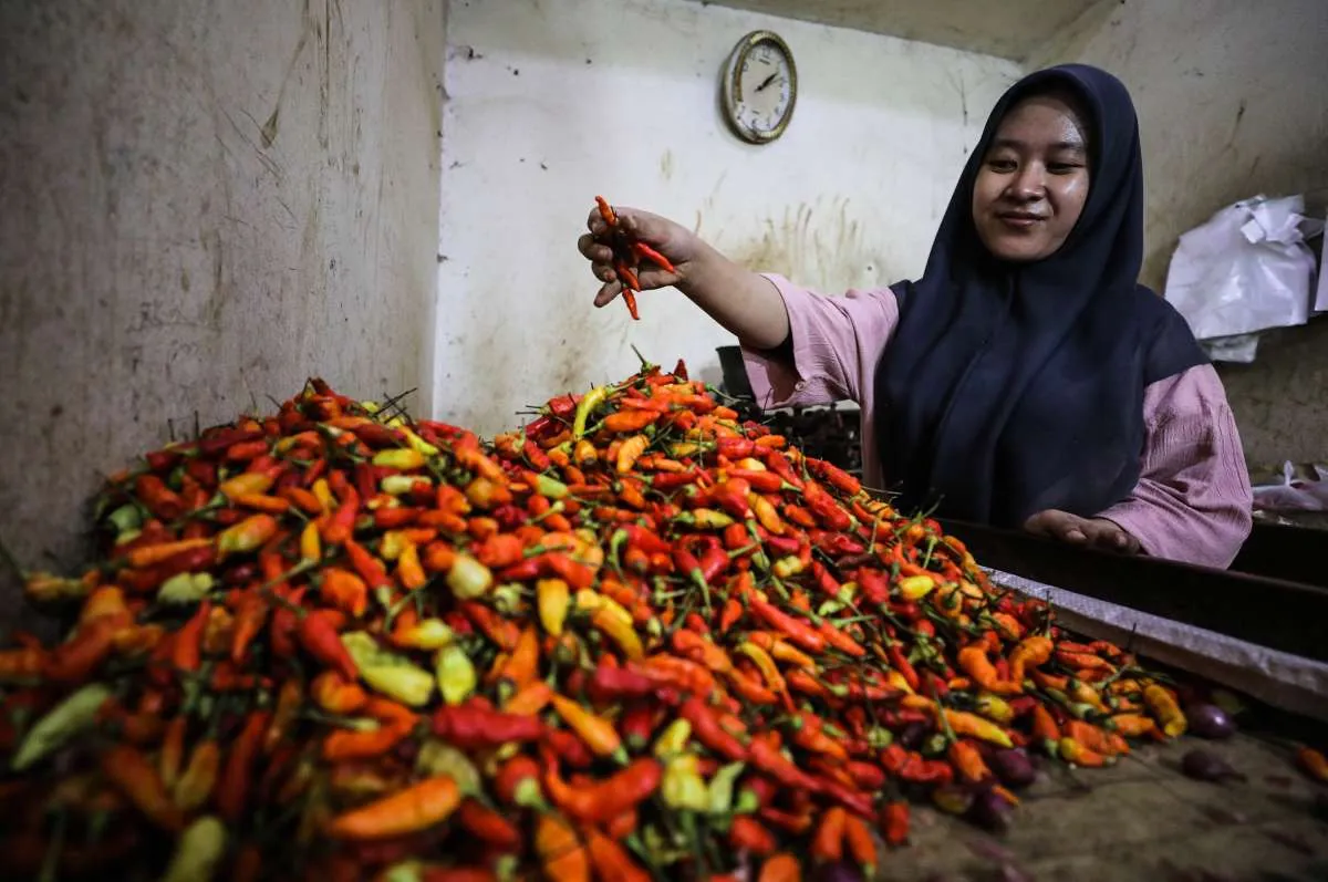 Harga Pangan Mendaki, Kenaikan Inflasi Menanti