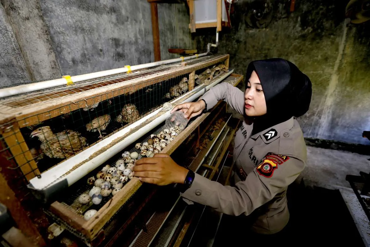 MBG Diklaim Jangkau 60 Juta Orang, Celios: Ada Pergeseran dari Gizi ke Motif Ekonomi