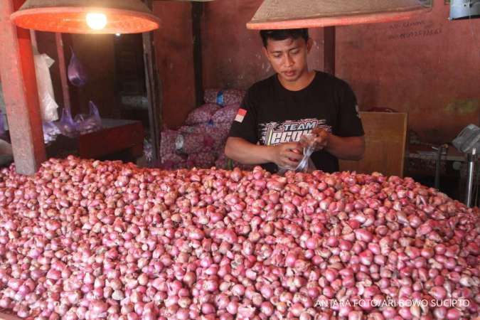 Bukan Rp 700.000/Kg, Bayaran Pengupas Bawang Merah Ini Hanya Rp 600/Kg