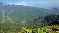 Indika Energy (INDY) Intip Peluang dari Awak Mas