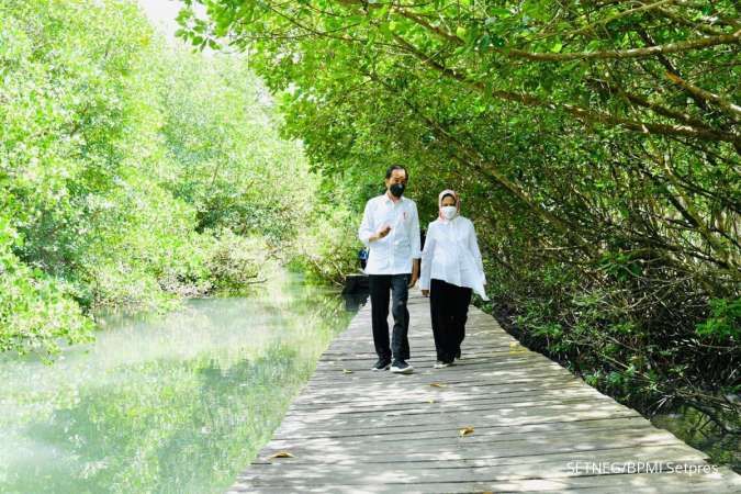 Jokowi tinjau mangrove forest di Bali