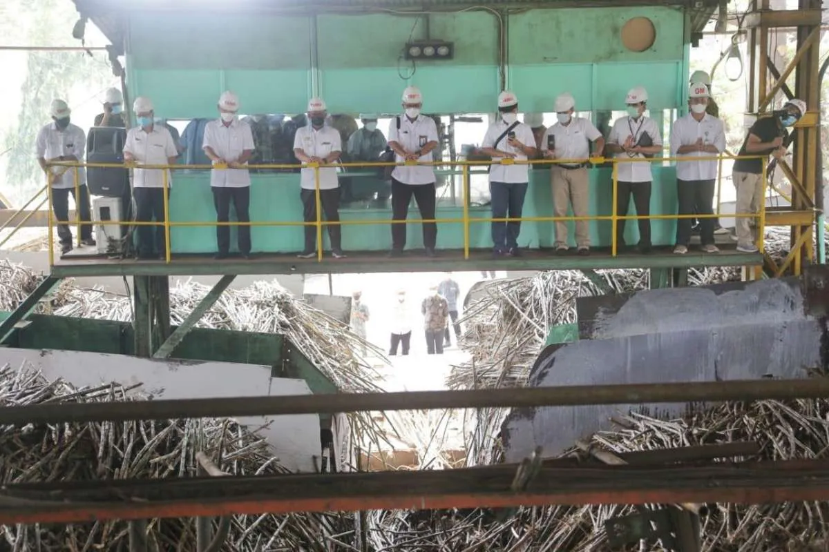 PTPN X sukses lakukan ekspor perdana tembakau ke Eropa