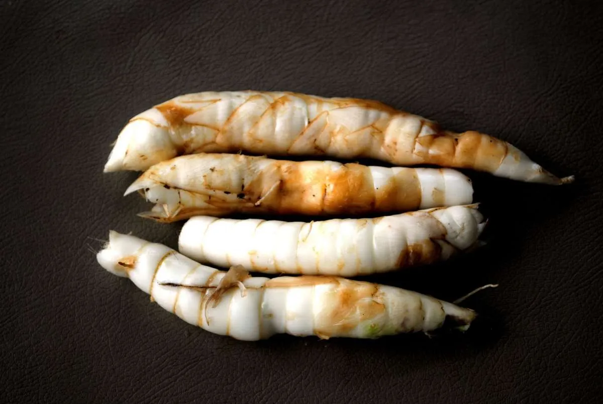 Catat Moms! Ini Jenis Umbi-Umbian dan Manfaatnya untuk Kesehatan