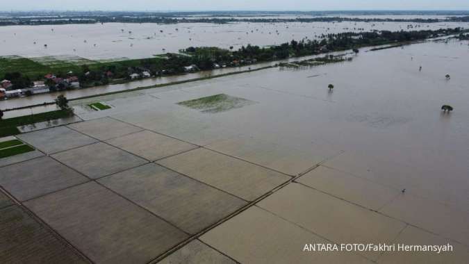 Tinjau Sawah Terdampak Banjir di Kendal, Mentan Janjikan Ganti Benih 1.000 Hektare
