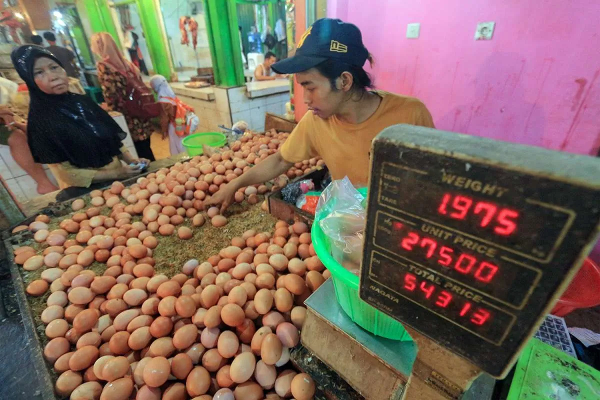 Harga Telur Turun Jadi Rp 30.300, Pasca Harga BBM Naik, Pangan Lain Naik Tinggi