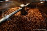 Coffee Firms Won't be Ready to Comply With EU Deforestation Law