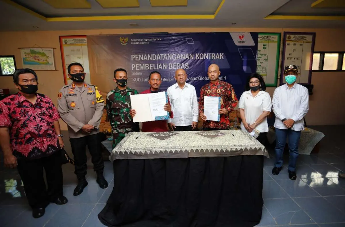 Pemerintah dorong koperasi sektor pangan masuk dalam skala bisnis