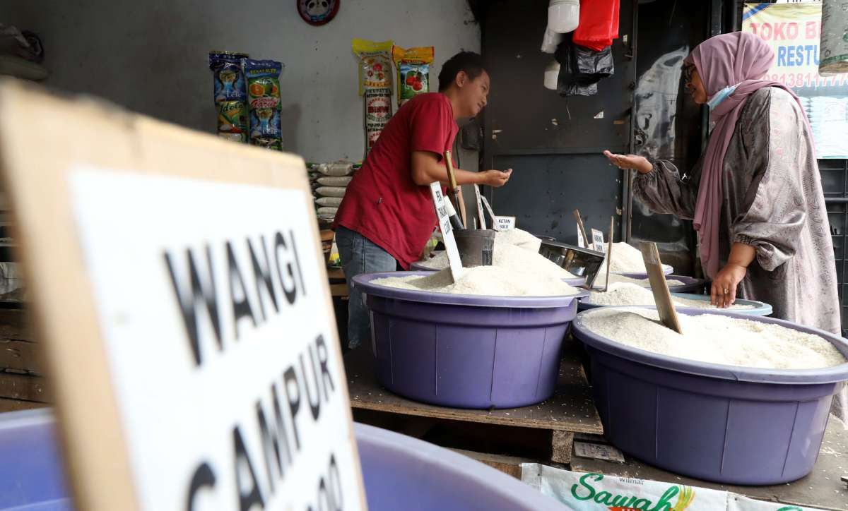 Harga Beras Mulai Melandai Jelang Panen Raya