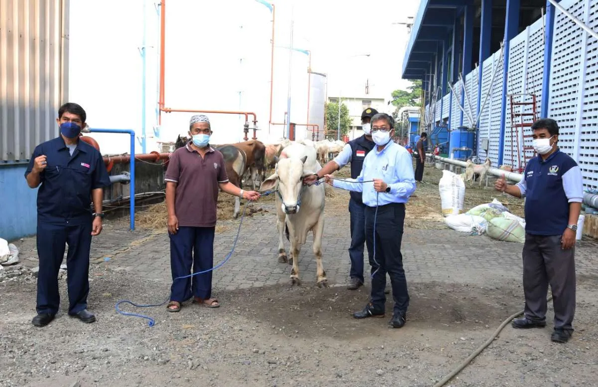 Sambut Idul Adha, Bogasari salurkan hewan kurban 