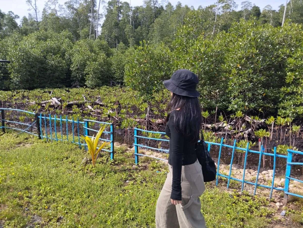 Kolaborasi BKPH dan STM Perkuat Perlindungan Hutan, Jaga Aktivitas Ekonomi NTB