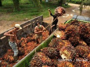 Hengkangnya GAPKI dari RSPO justru peluang kembangkan ISPO