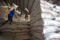 Beras di Gudang Bulog Capai 4 Juta Ton, Pengamat Ingatkan Risiko Penurunan Mutu