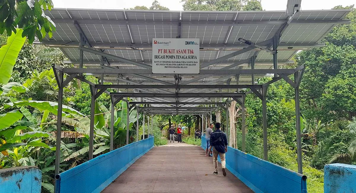 Petani Desa Tanjung Raja Petik Manfaat dari PLTS Irigasi Bukit Asam (PTBA)