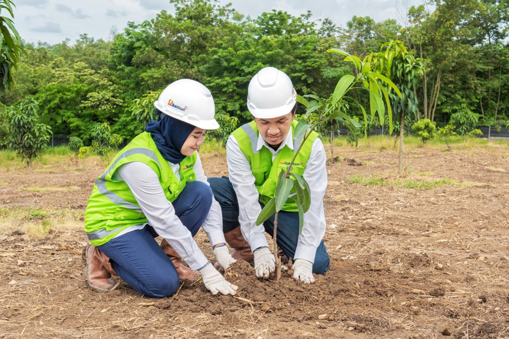 Kontan - Bukit Asam Kilas Online.