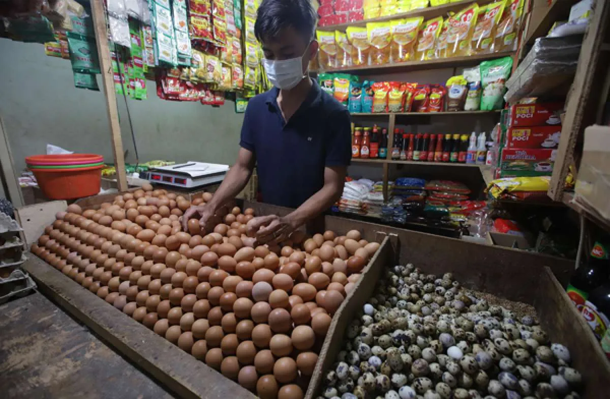 Mulai Minggu Ketiga April, Pemerintah akan Salurkan Bansos Telur dan Ayam