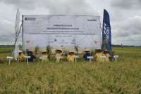 Bank Mandiri Bantu Petani Kebumen Tingkatkan Produktivitas dan Cegah Gagal Panen