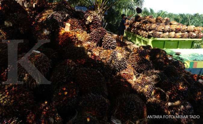 Harga CPO Akan Melonjak Seiring Adanya Kebijakan Larangan Ekspor CPO Indonesia