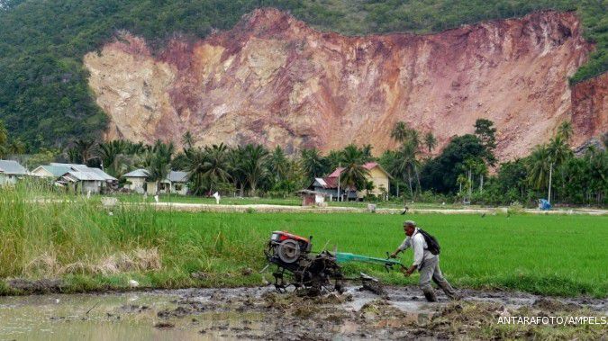 China akan genjot industri berbasis gambut