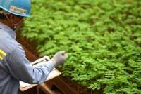 Praktik ESG Meningkat, Antam Borong Gold Rank ASRRAT 2025