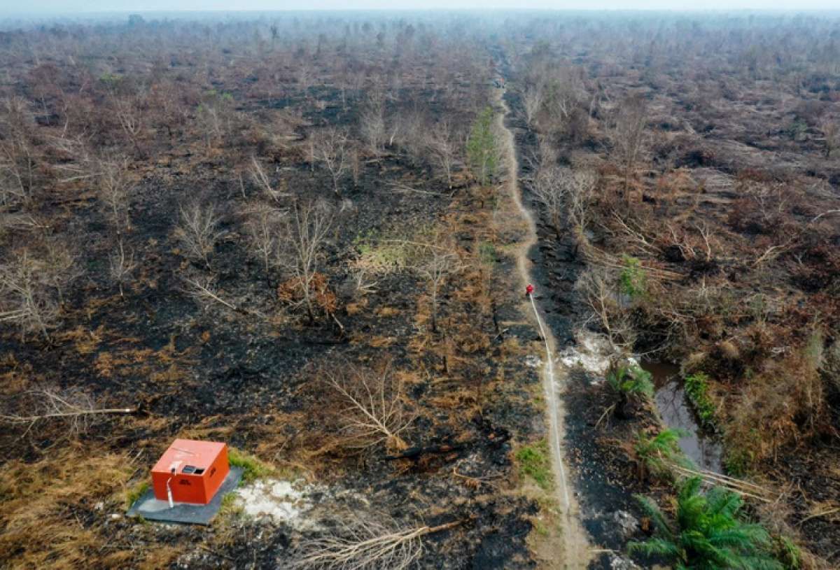 Imbas El Nino, Potensi Kebakaran Hutan Meluas