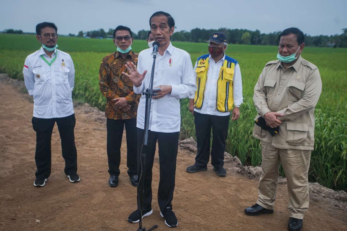 Proyek Food Estate mulai berjalan Oktober 2020