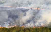 UPDATE - BNPB Catat Karhutla di Empat Daerah, Total 16 Hektare Lahan Terbakar