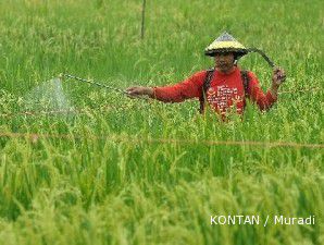 Genjot produksi beras, pemerintah bentuk tim pengawasan