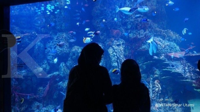 Pengunjung Jakarta Aquarium Neo Soho bisa mencapai 40.000 orang per bulan