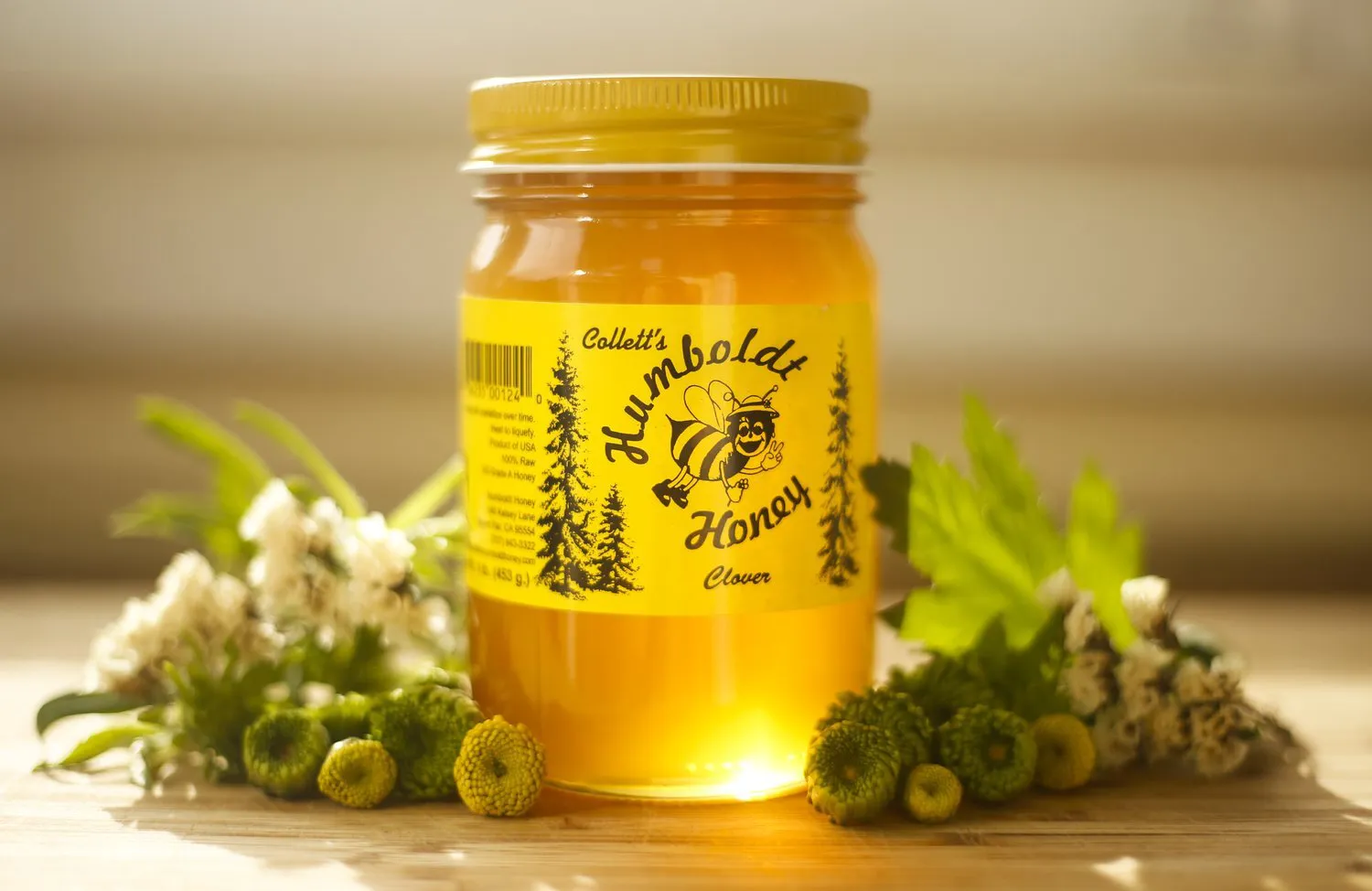 Clover Honey / madu semanggi