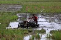 Perkuat Stok Pangan, Kementan Percepat Cetak sawah 2.000 Hektare di Papua Pegunungan