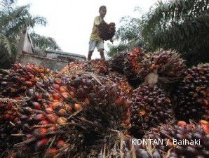 Tren harga CPO masih melorot tertekan inflasi