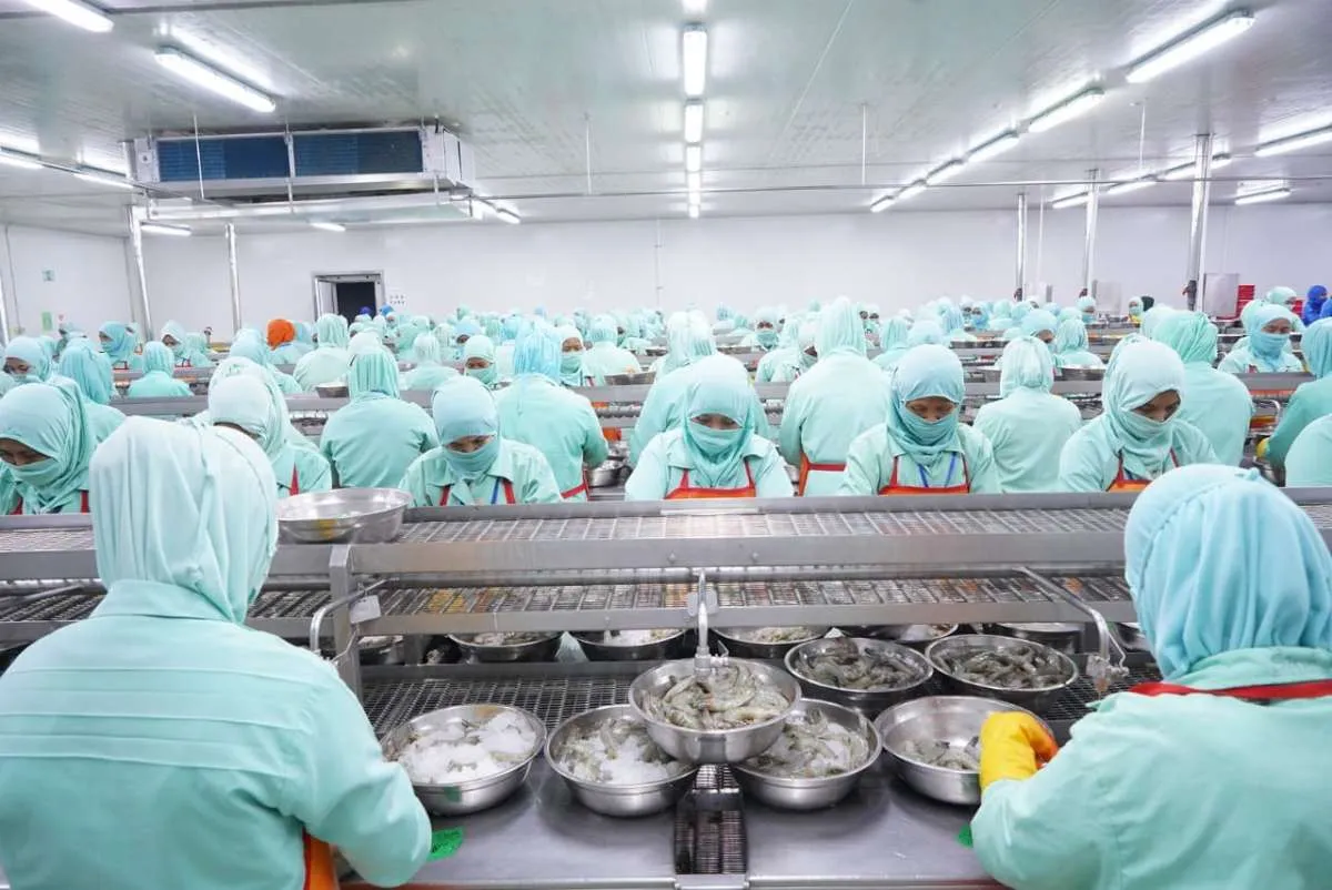 Perkuat daya saing, KKP dukung 3 program prioritas pembangunan kelautan & perikanan