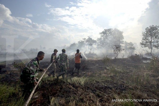 Jokowi: Titik lahan terbakar dalam dua tahun turun drastis