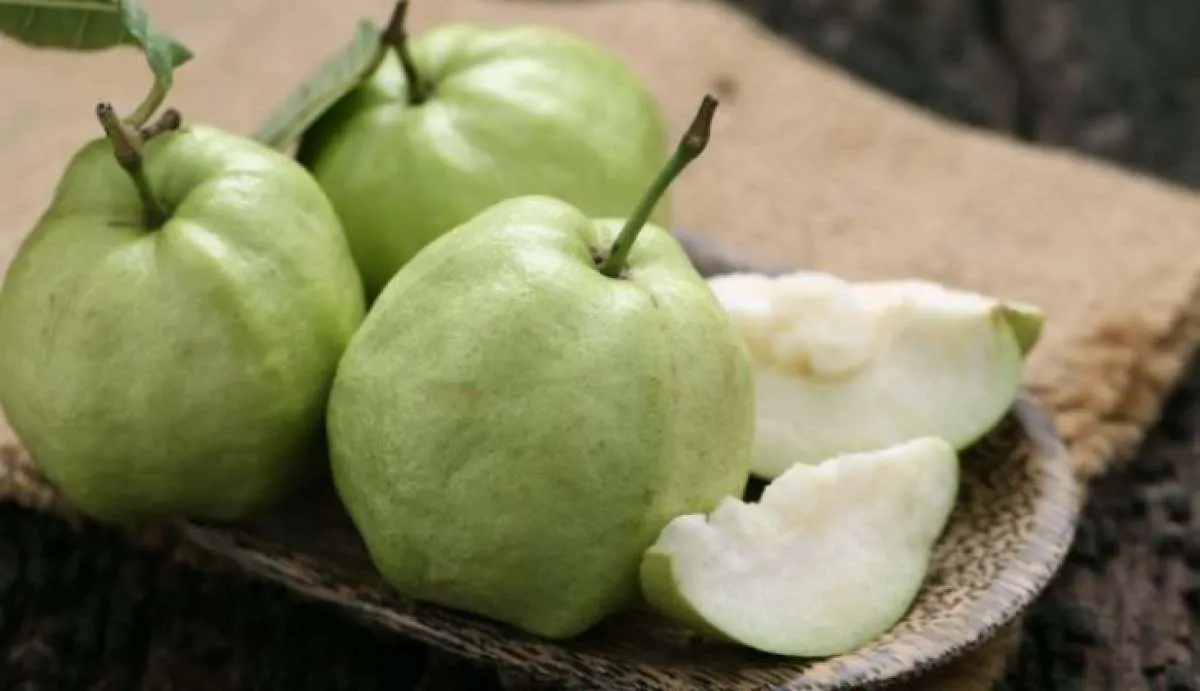 Cari Tahu yuk, Ini Sederet Manfaat Jambu Kristal untuk Kesehatan Tubuh