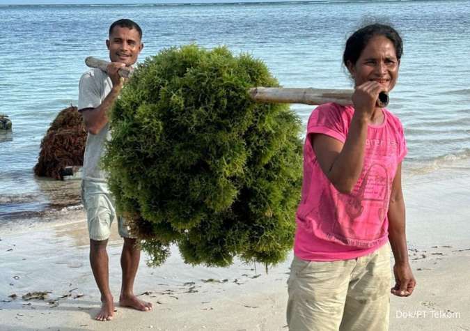 Selain Nikel, Luhut Dorong Pengembangan Hilirisasi Rumput Laut