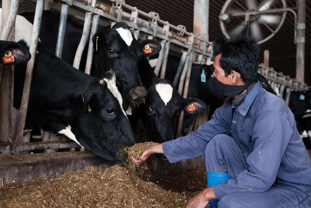 Makin Cuan Dengan Mengusung Sirkular Ekonomi