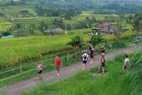 Aturan Pencairan Baru Dana Desa Tuai Sorotan, Dinilai Ganggu Fiskal Desa