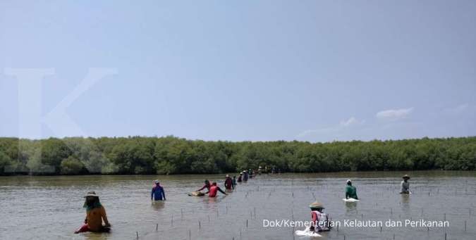 Target rehabilitasi hutan mangrove seluas 630.000 hektare hingga 2024
