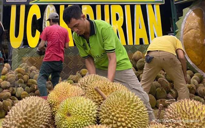 Ini 5 Tips Memilih Buah Durian Matang dengan Daging Segar dan Berkualitas