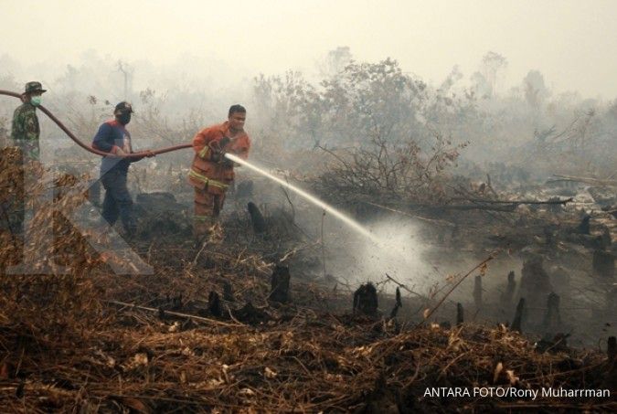 Kebakaran hutan rugikan Rp 221 triliun