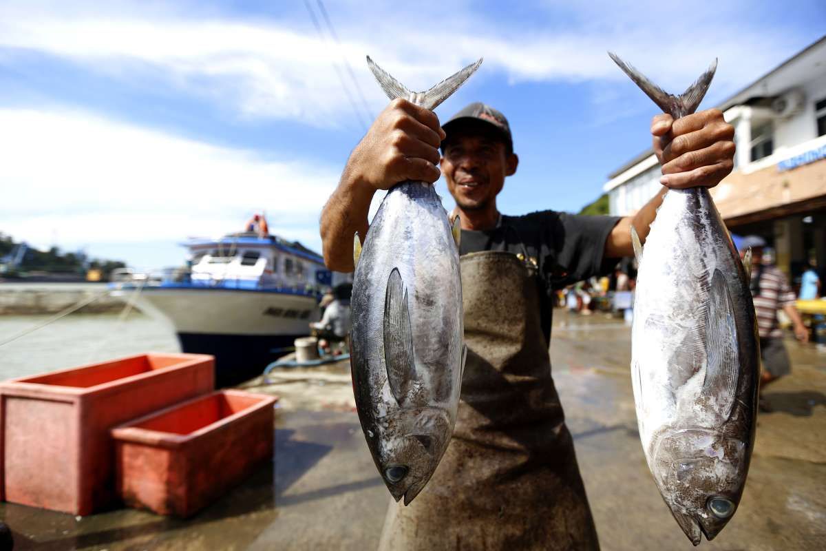 Populasi Ikan di Perairan Jawa Semakin Menipis